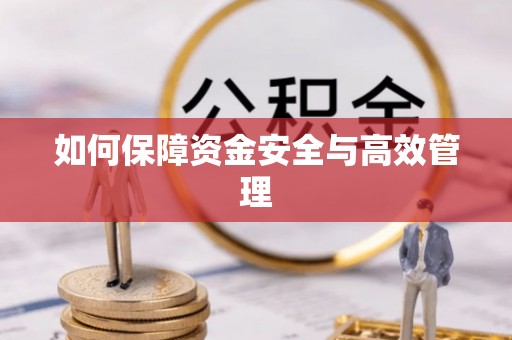 阆中如何保障资金安全与高效管理