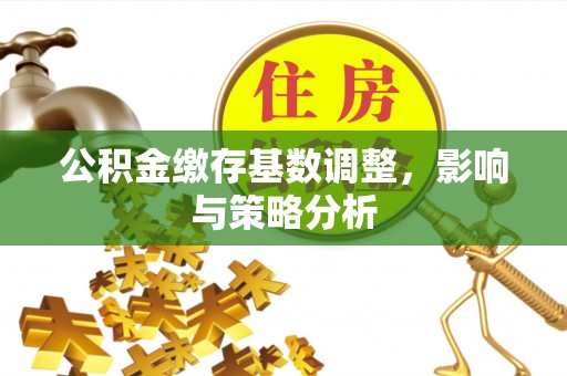 阆中公积金缴存基数调整，影响与策略分析