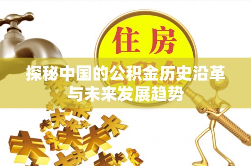 阆中探秘中国的公积金历史沿革与未来发展趋势