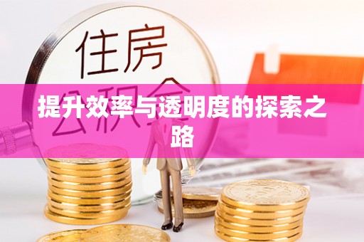 阆中提升效率与透明度的探索之路