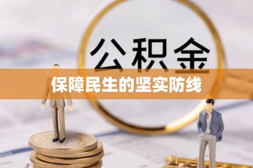 阆中保障民生的坚实防线