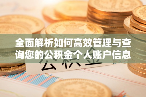 阆中全面解析如何高效管理与查询您的公积金个人账户信息