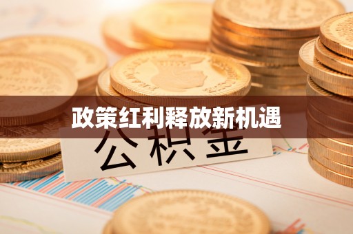 阆中政策红利释放新机遇