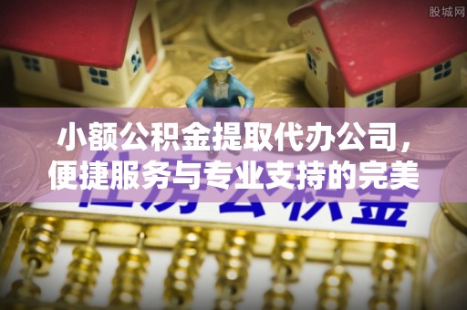 阆中小额公积金提取代办公司，便捷服务与专业支持的完美结合