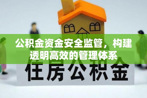 阆中公积金资金安全监管，构建透明高效的管理体系