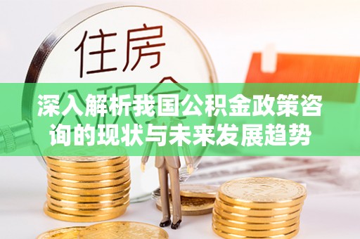 阆中深入解析我国公积金政策咨询的现状与未来发展趋势