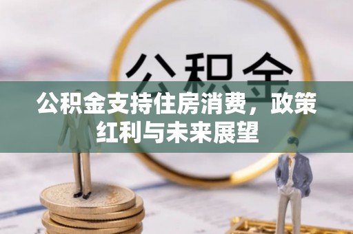 阆中公积金支持住房消费，政策红利与未来展望