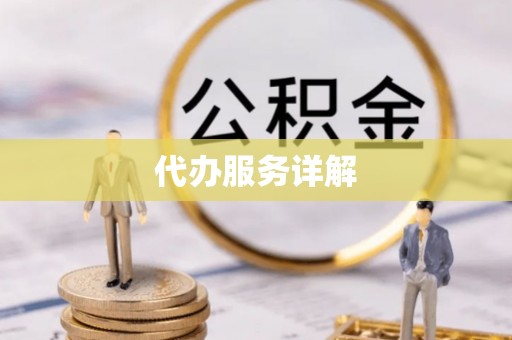 阆中代办服务详解