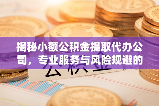 阆中揭秘小额公积金提取代办公司，专业服务与风险规避的平衡艺术