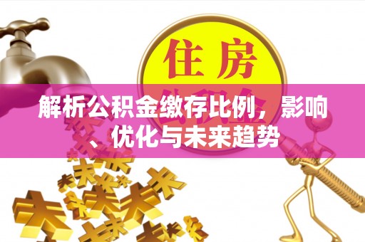 阆中解析公积金缴存比例，影响、优化与未来趋势
