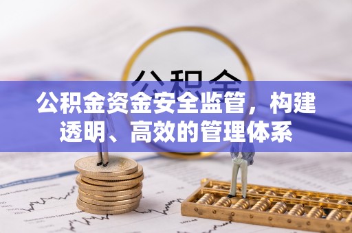 阆中公积金资金安全监管，构建透明、高效的管理体系