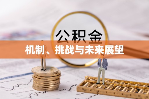 阆中机制、挑战与未来展望