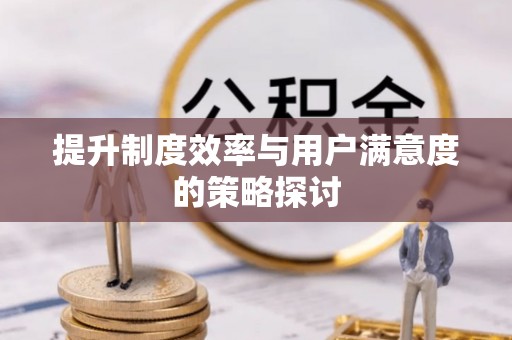 阆中提升制度效率与用户满意度的策略探讨